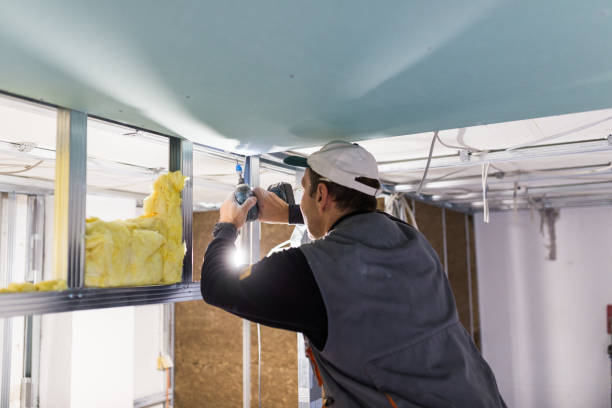 Best Spray Foam Insulation in King Cove, AK