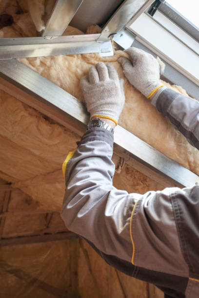 Best Eco-Friendly Insulation in King Cove, AK