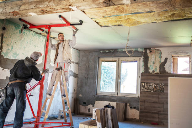 Best Insulation Maintenance and Repair in King Cove, AK