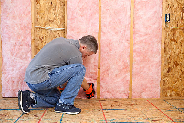 Best DIY Insulation Kits and Guidance in King Cove, AK